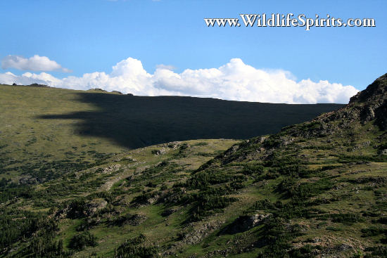 Click Picture to send as an  E-PostCard 65k 550x367